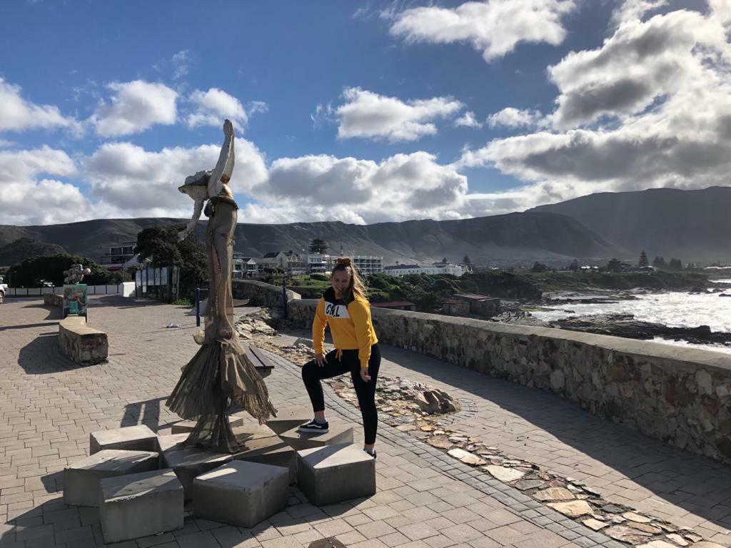 The Sun, Whales & Waves - Seafront Apartment Hermanus Exterior foto