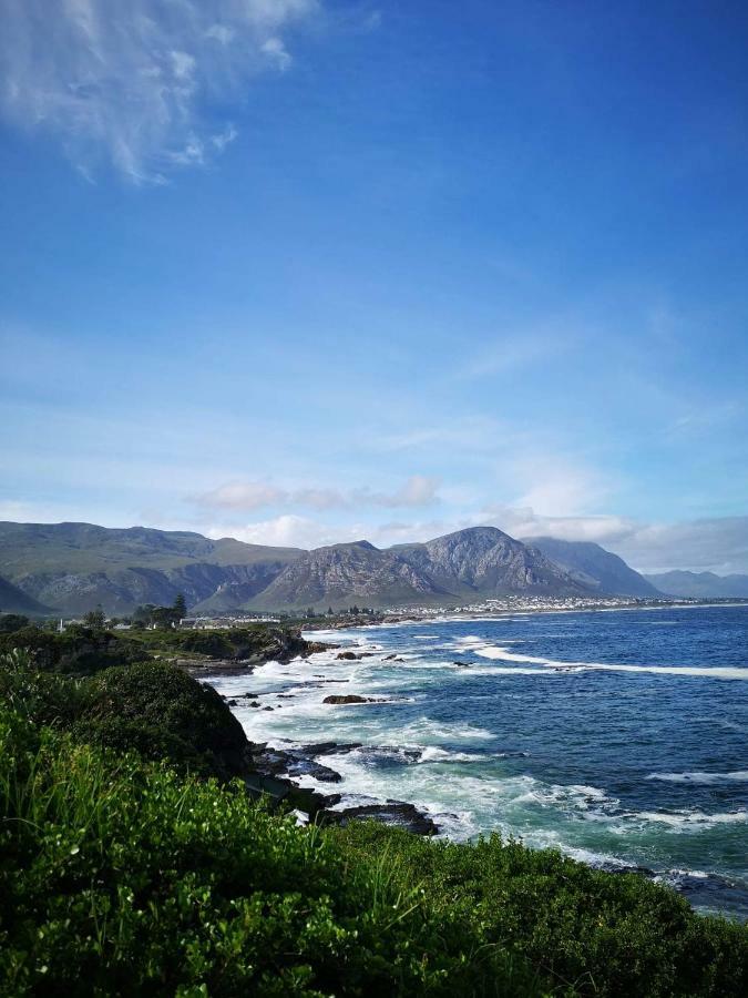 The Sun, Whales & Waves - Seafront Apartment Hermanus Exterior foto