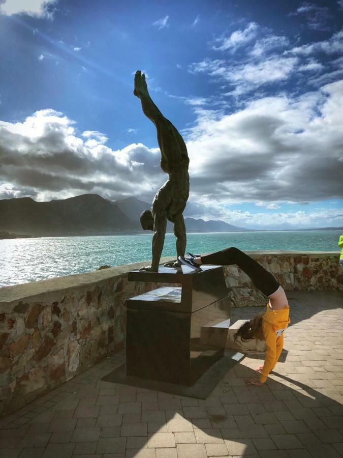 The Sun, Whales & Waves - Seafront Apartment Hermanus Exterior foto